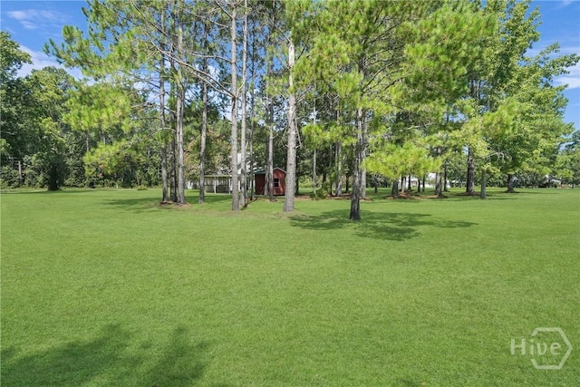 356 Stilson Rd, Brooklet, GA 30415 - photo 50