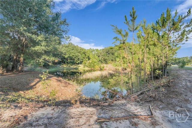 2028 Pearl Davis Rd SE, Ludowici, GA 31316 - photo 41
