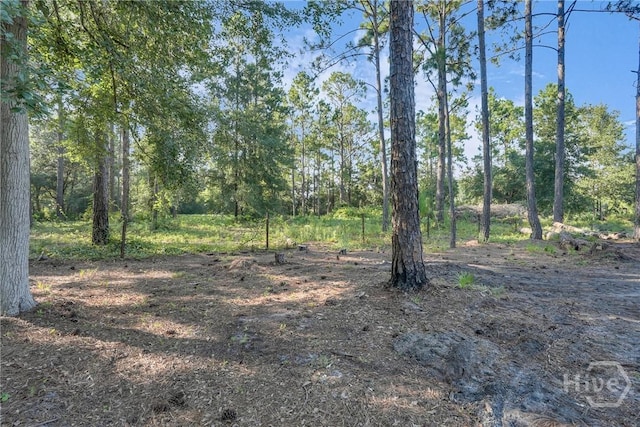 2028 Pearl Davis Rd SE, Ludowici, GA 31316 - photo 43