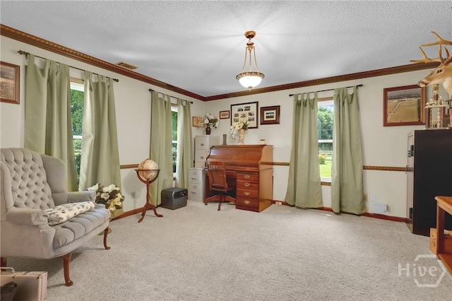 1099 Old Olive Branch Rd, Ellabell, GA 31308 - photo 15