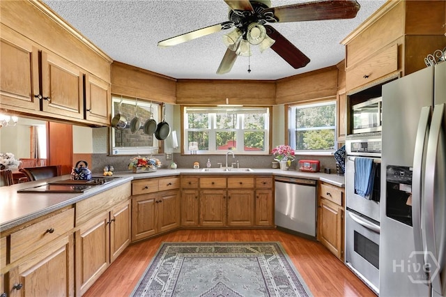 1099 Old Olive Branch Rd, Ellabell, GA 31308 - photo 24