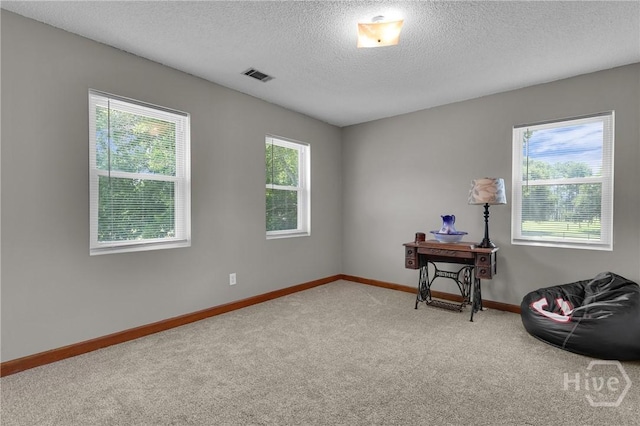 1099 Old Olive Branch Rd, Ellabell, GA 31308 - photo 36