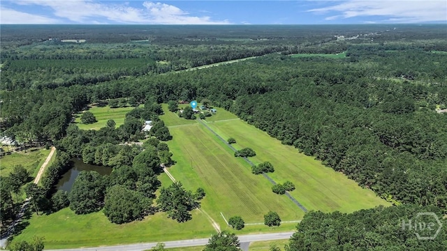 1099 Old Olive Branch Rd, Ellabell, GA 31308 - photo 62