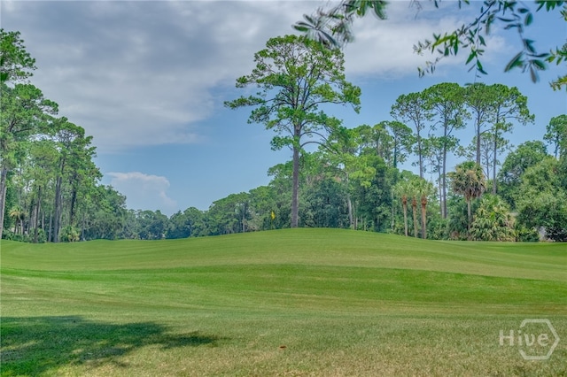 22 Monastery Rd, Savannah, GA 31411 - photo 26