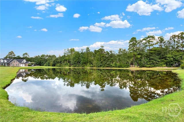 111 St Matthews Rd, Guyton, GA 31312 - photo 39