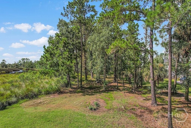 546 Hunters Loop S, Hardeeville, SC 29927 - photo 10