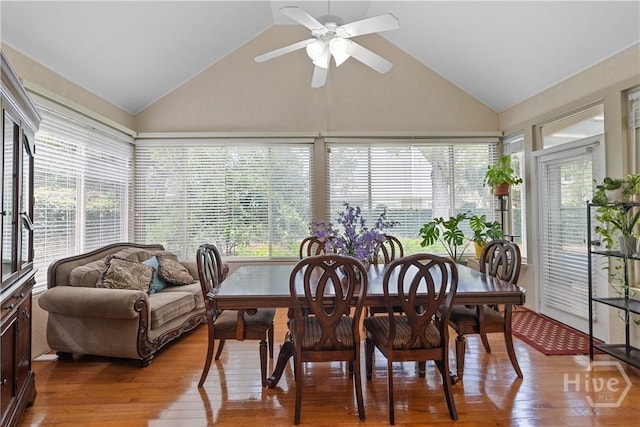 229 Island Creek Ln, Savannah, GA 31410 - photo 9