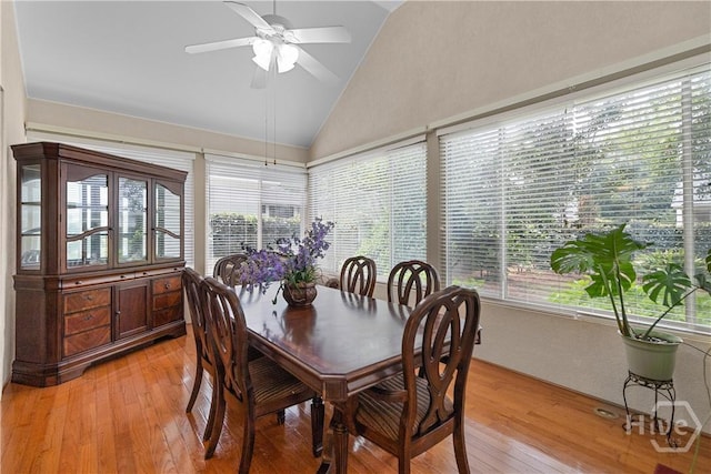 229 Island Creek Ln, Savannah, GA 31410 - photo 10