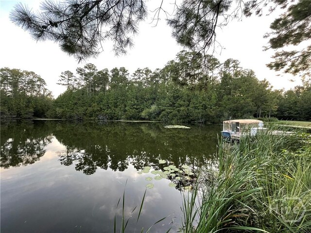 230 Ridgewood Park Ct, Richmond Hill, GA 31324 - photo 21