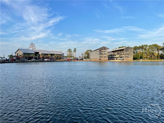 230 Ridgewood Park Ct, Richmond Hill, GA 31324 - photo 20