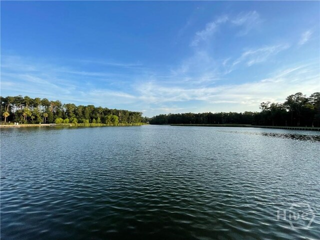 230 Ridgewood Park Ct, Richmond Hill, GA 31324 - photo 24