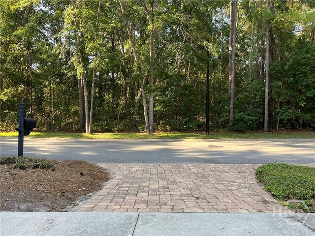 230 Ridgewood Park Ct, Richmond Hill, GA 31324 - photo 18
