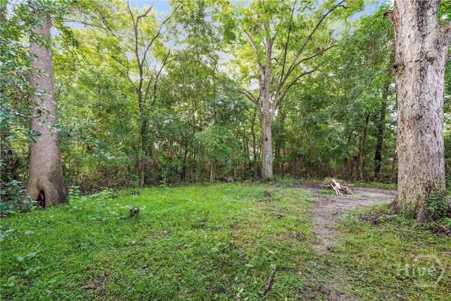 110 Wright St, Savannah, GA 31408 - photo 32