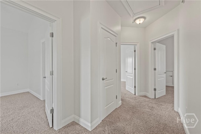 10 Cord Grass Ln, Savannah, GA 31405 - photo 20