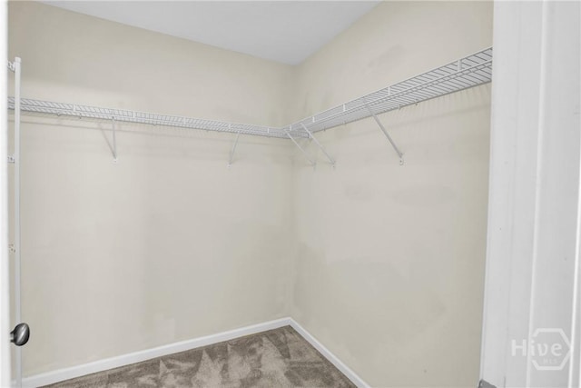 30 Cantle Dr, Richmond Hill, GA 31324 - photo 30