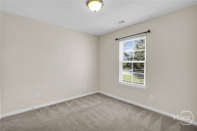 30 Cantle Dr, Richmond Hill, GA 31324 - photo 33