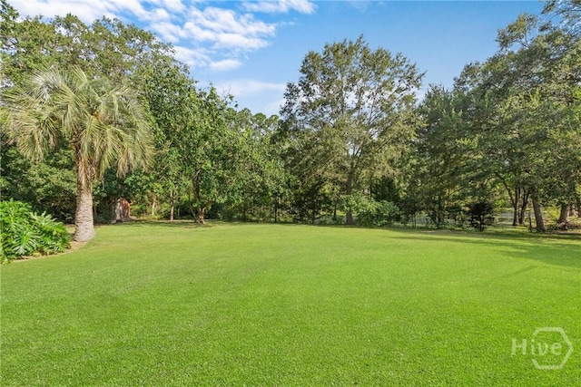207 N Jackson Rd, Statesboro, GA 30461 - photo 28