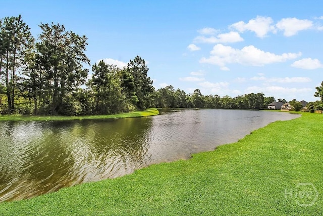 239 Harmony Blvd, Pooler, GA 31322 - photo 48