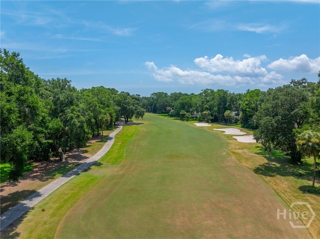 5 Tangletree Ln, Savannah, GA 31411 - photo 35
