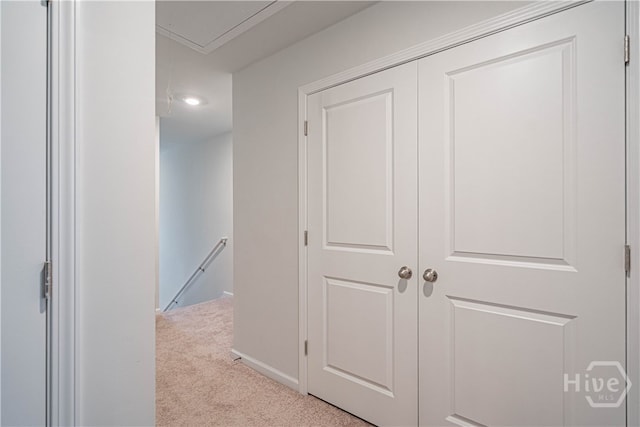 202 Coneflower Rd, Bloomingdale, GA 31302 - photo 27