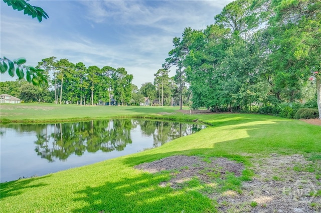 19 Tarrow Ridge Rd, Savannah, GA 31411 - photo 35