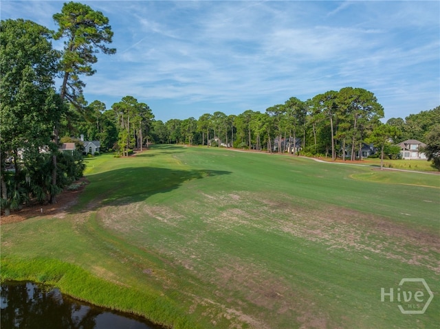 19 Tarrow Ridge Rd, Savannah, GA 31411 - photo 38