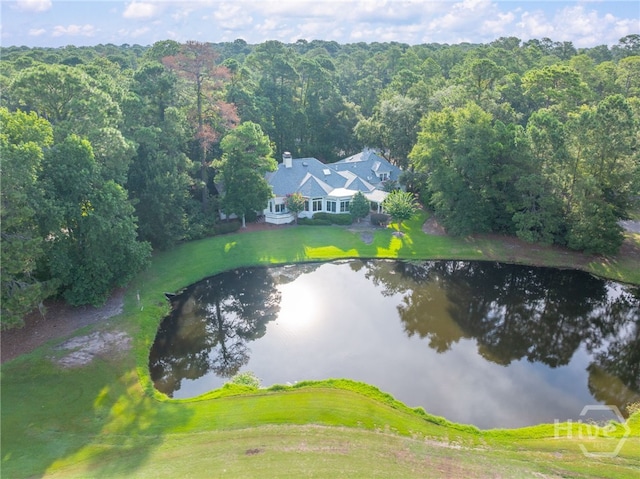 19 Tarrow Ridge Rd, Savannah, GA 31411 - photo 41