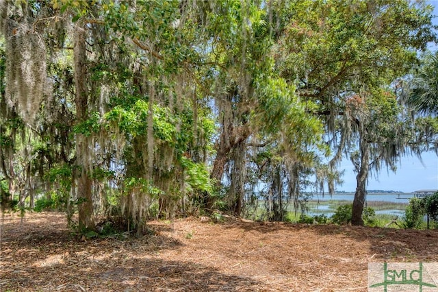 9 Longbridge Rd, Savannah, GA 31410 - photo 4