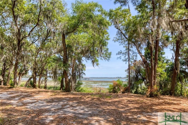 9 Longbridge Rd, Savannah, GA 31410 - photo 5