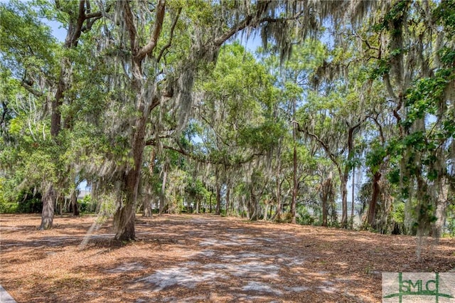 9 Longbridge Rd, Savannah, GA 31410 - photo 6