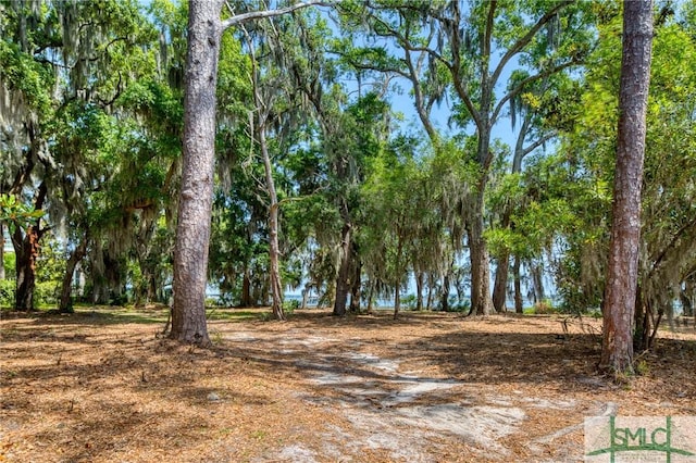 9 Longbridge Rd, Savannah, GA 31410 - photo 7