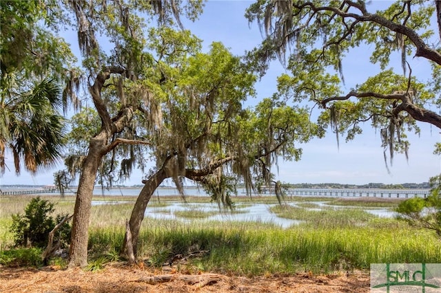 9 Longbridge Rd, Savannah, GA 31410 - photo 8