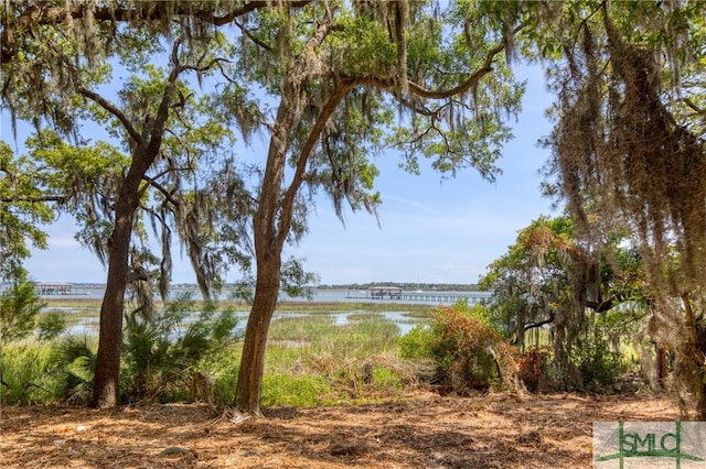 9 Longbridge Rd, Savannah, GA 31410 - photo 9