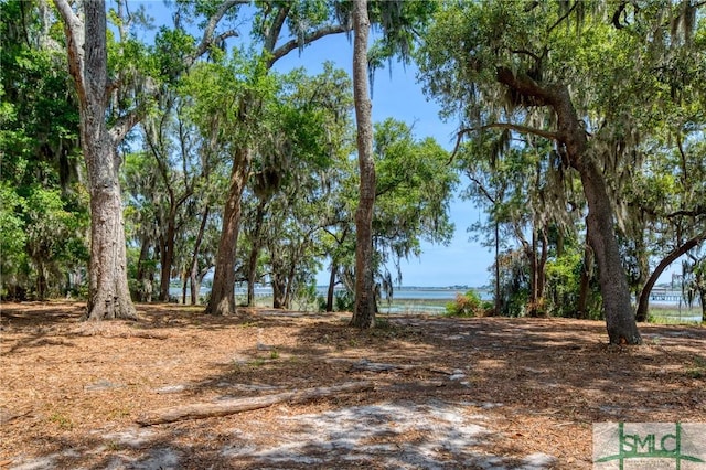 9 Longbridge Rd, Savannah, GA 31410 - photo 11