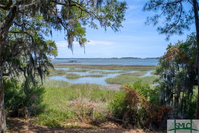 9 Longbridge Rd, Savannah, GA 31410 - photo 12