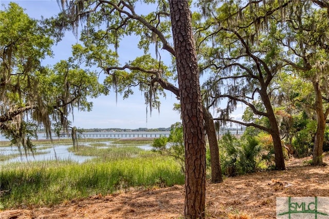 9 Longbridge Rd, Savannah, GA 31410 - photo 13