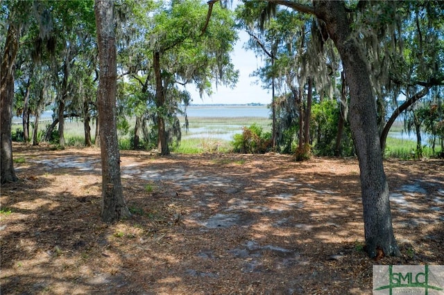 9 Longbridge Rd, Savannah, GA 31410 - photo 14