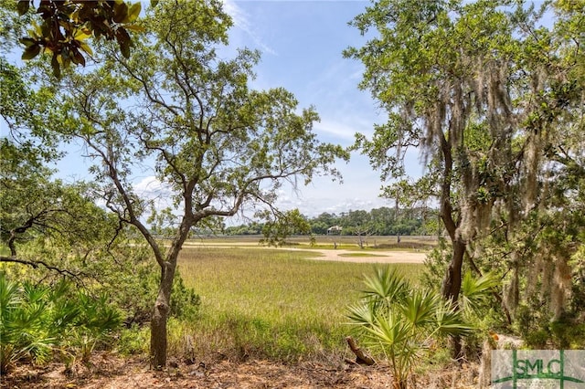 9 Longbridge Rd, Savannah, GA 31410 - photo 15
