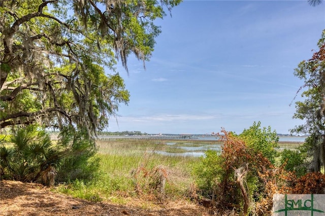 9 Longbridge Rd, Savannah, GA 31410 - photo 17