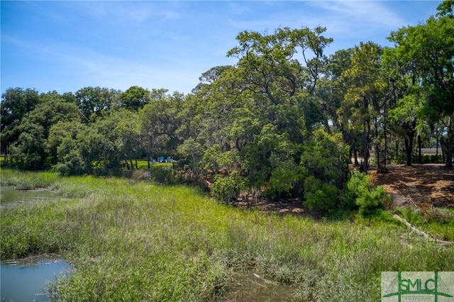 9 Longbridge Rd, Savannah, GA 31410 - photo 20