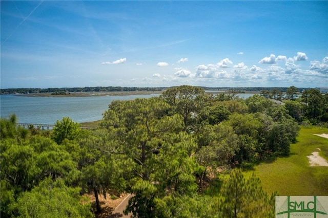 9 Longbridge Rd, Savannah, GA 31410 - photo 21