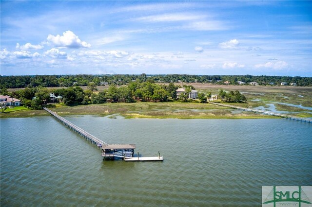 9 Longbridge Rd, Savannah, GA 31410 - photo 30
