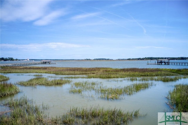 9 Longbridge Rd, Savannah, GA 31410 - photo 34