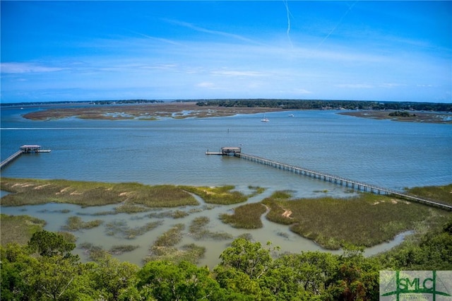 9 Longbridge Rd, Savannah, GA 31410 - photo 37