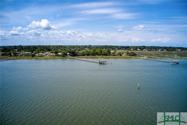 9 Longbridge Rd, Savannah, GA 31410 - photo 47
