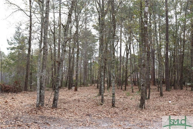 800 Fort Howard Road, Rincon GA, 31326 land for sale