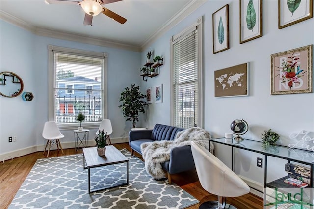 interior space featuring ceiling fan, wood-type flooring, and crown molding