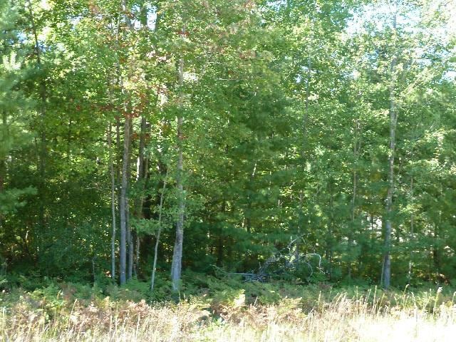 2228 Sommerset Dr Lot 12, Alpena MI, 49707 land for sale