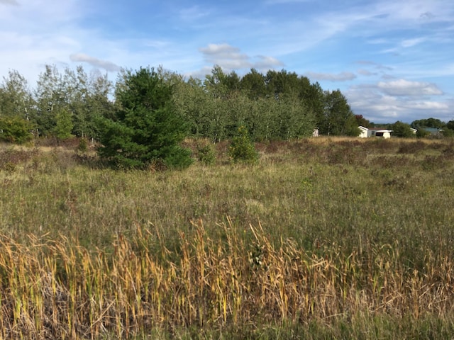 Listing photo 2 for Townline Rd Unit 2.29Acres, Cheboygan MI 49721