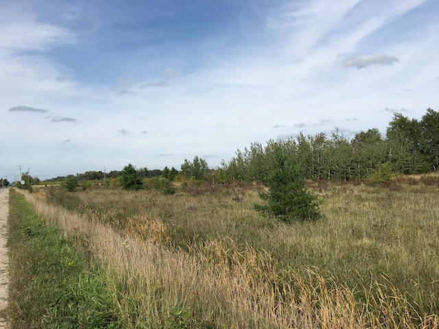 Listing photo 3 for Townline Rd Unit 2.29Acres, Cheboygan MI 49721